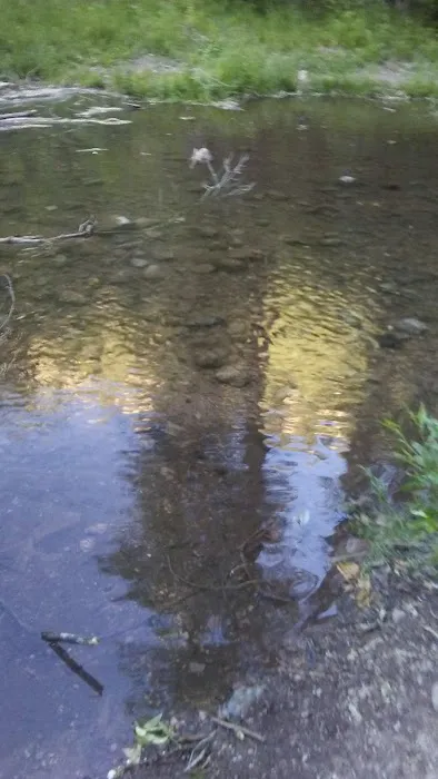 Tinney Flat Campground 6