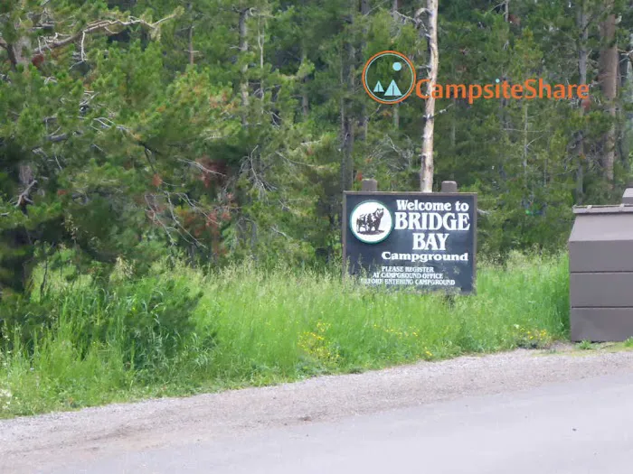 Bridge Bay Campground 5