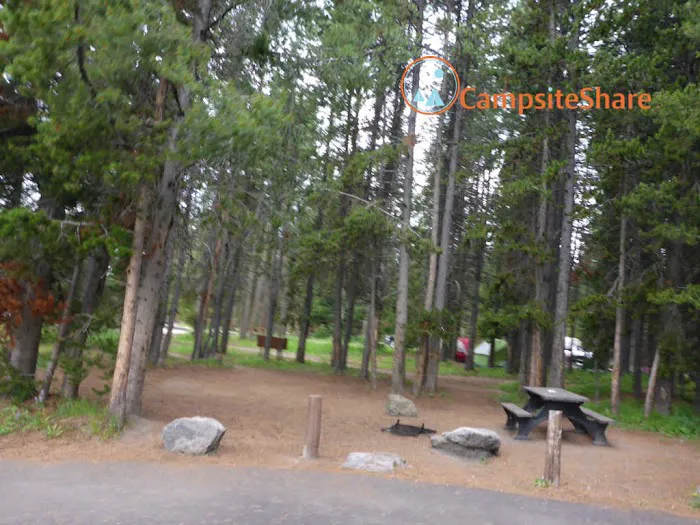 Bridge Bay Campground 4