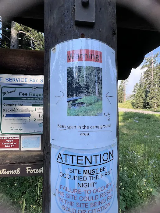 Soda Butte Campground 8