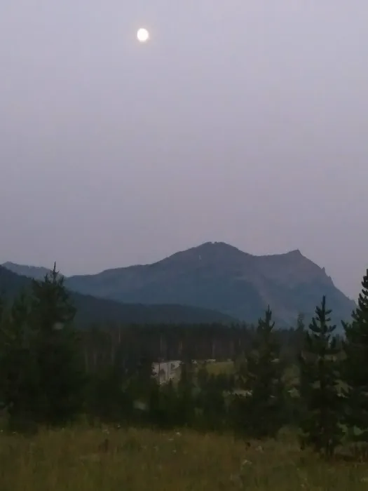 Colter Campground 6