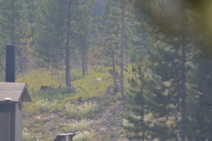 Colter Campground 1