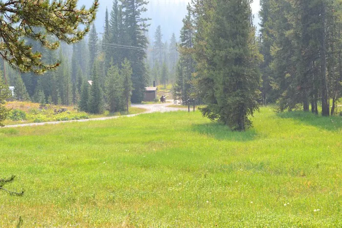 Colter Campground 3