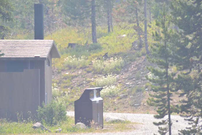 Colter Campground 4