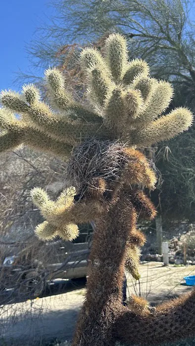 Agua Caliente Campground 3