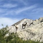 Agua Caliente Campground Entry Gate
