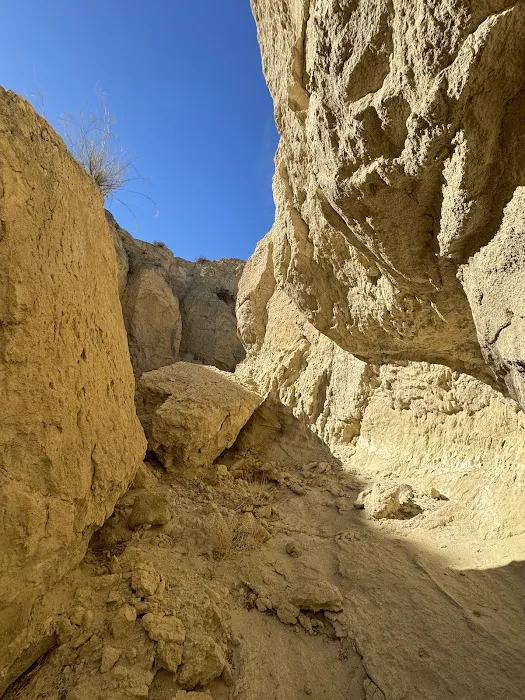 Coyote Mountains Wilderness 6