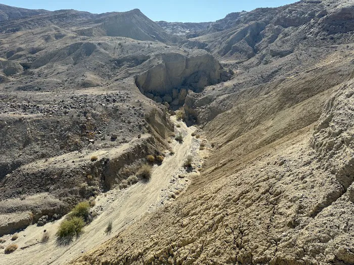 Coyote Mountains Wilderness 8