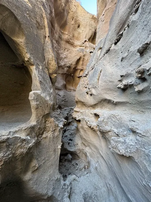 Coyote Mountains Wilderness 2