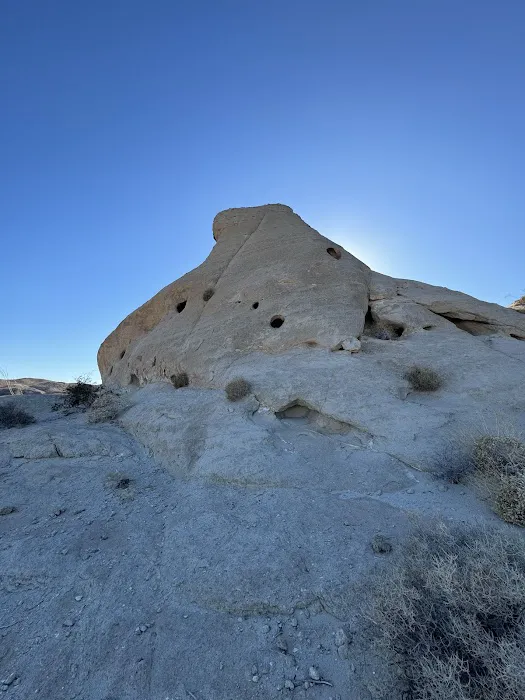 Coyote Mountains Wilderness 0
