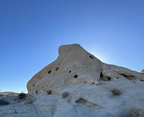 Coyote Mountains Wilderness