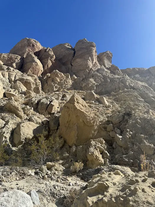 Coyote Mountains Wilderness 4