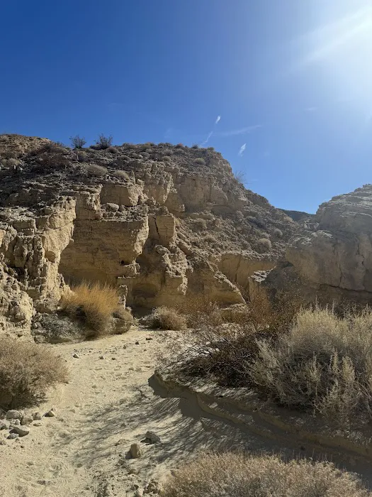 Coyote Mountains Wilderness 3