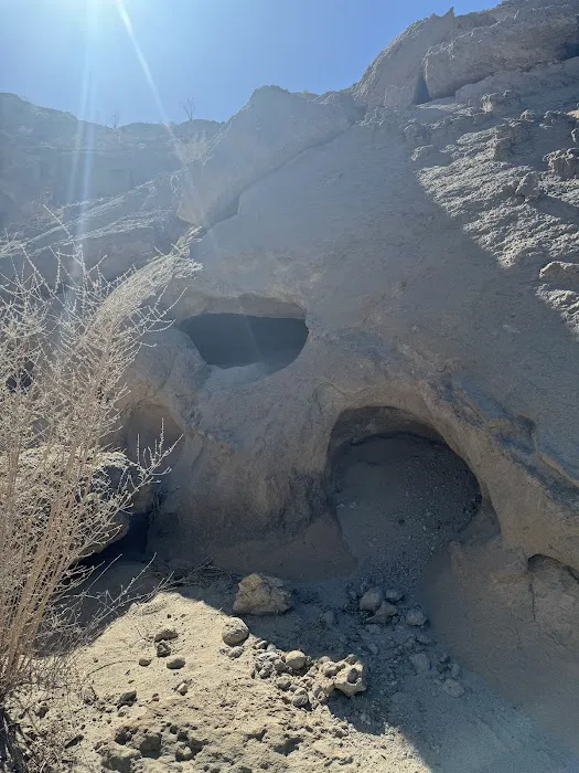 Coyote Mountains Wilderness 1