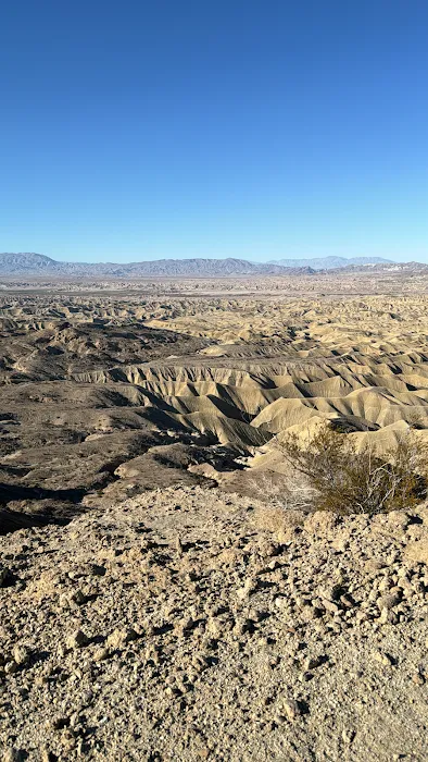Coyote Mountains Wilderness 9