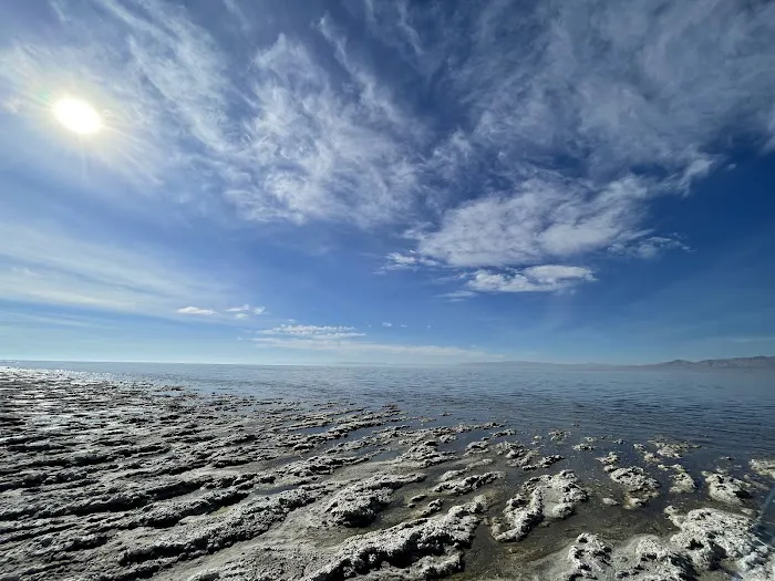 Salt Creek Beach Campground 5