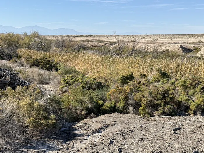 Salt Creek Beach Campground 9