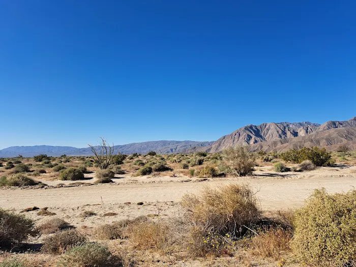 Coyote Canyon campsite 5