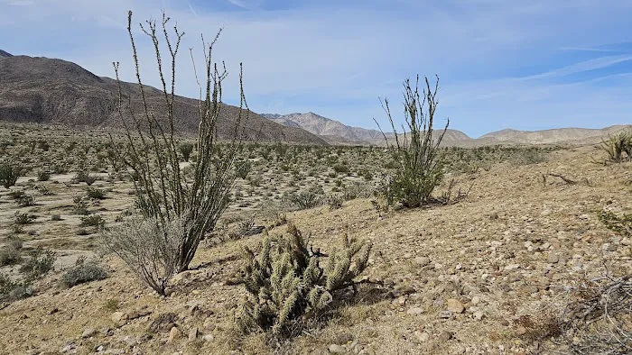 Coyote Canyon campsite 0
