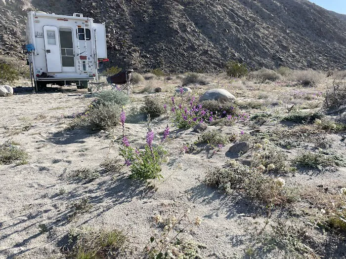 Coyote Canyon campsite 3