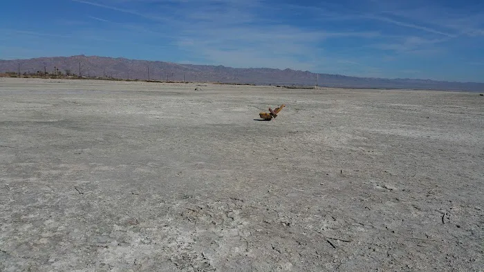 Bombay Beach Campground 3