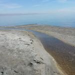 Bombay Beach Campground