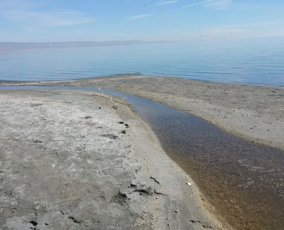Bombay Beach Campground