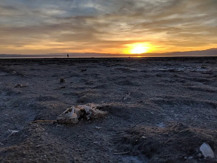 Bombay Beach Campground 9