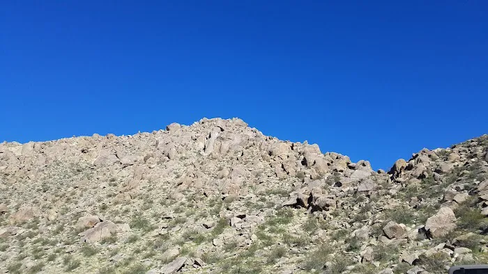 Blair Valley Campground 8