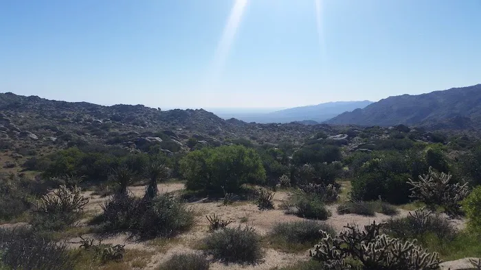 Culp Valley Primitive Campground 2