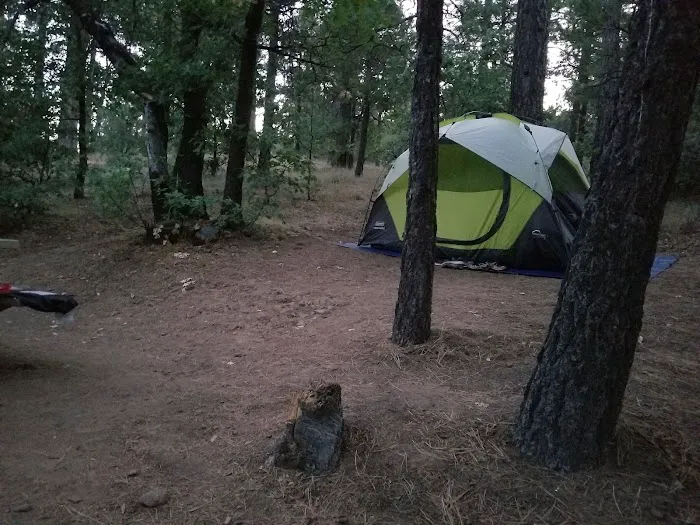 Burnt Rancheria Campground 0