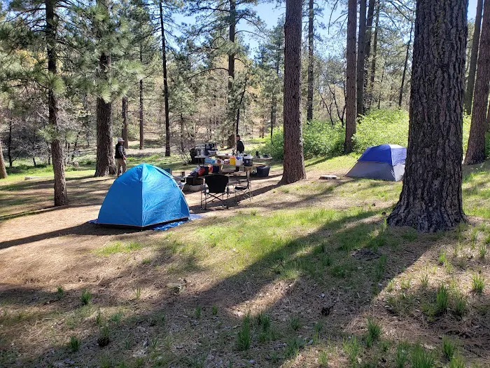 Burnt Rancheria Campground 2
