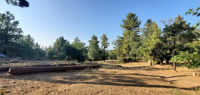 Wooded Hill Group Campground 4