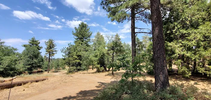 Wooded Hill Group Campground 7