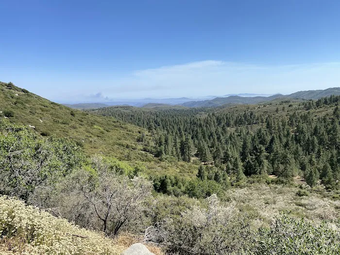 Wooded Hill Group Campground 6