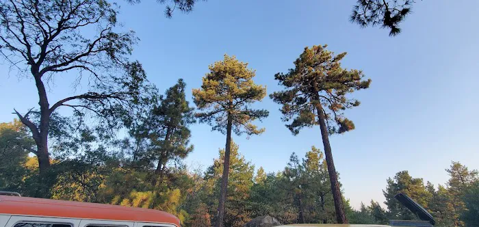 Wooded Hill Group Campground 0