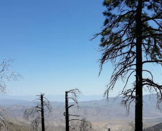 Sierra Club Guyman Lodge Organization Site