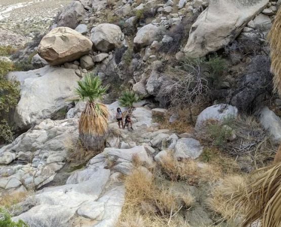 Sheep Canyon Campground