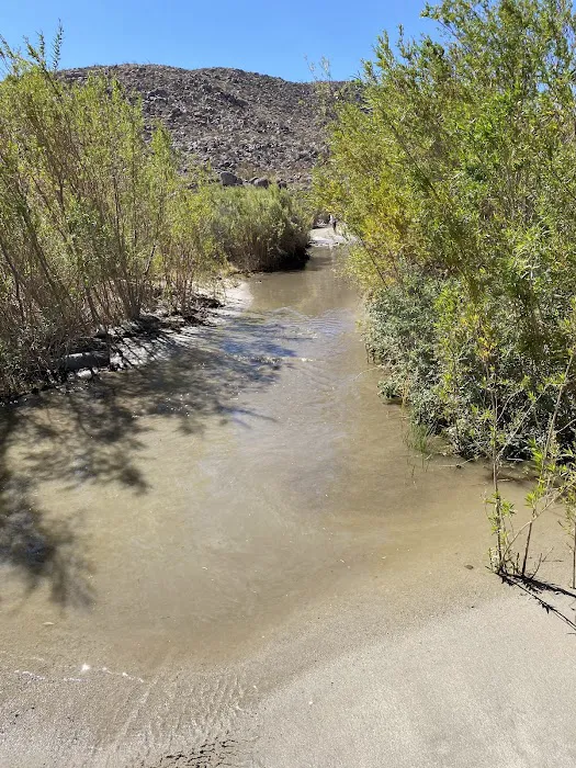 Sheep Canyon Campground 5
