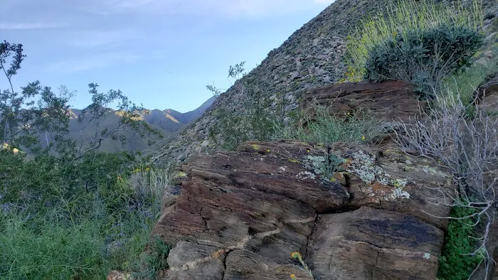 Sheep Canyon Campground 8