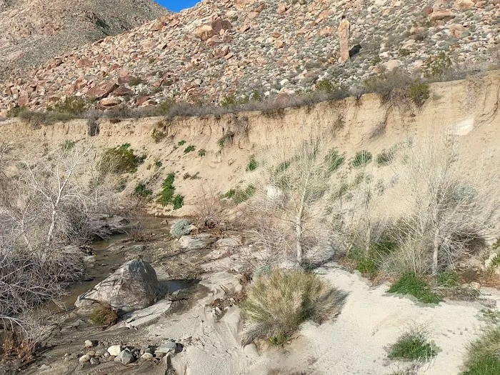Sheep Canyon Campground 9