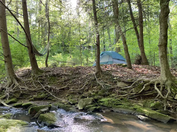 Camping at Shasta Valley 2