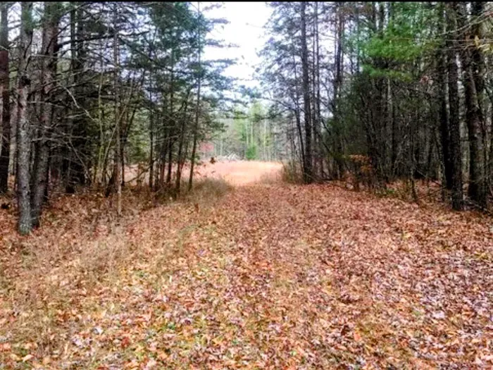 Serene Haven Retreat Campground 5
