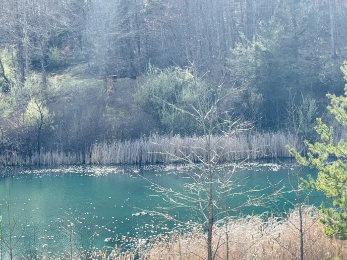 Serene Haven Retreat Campground 3