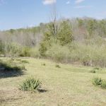 Serene Haven Retreat Campground