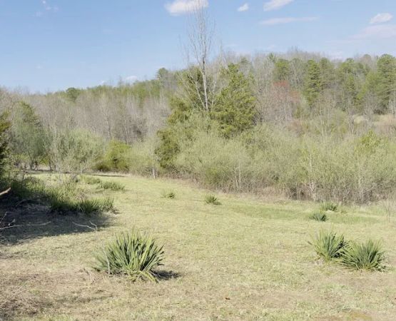 Serene Haven Retreat Campground