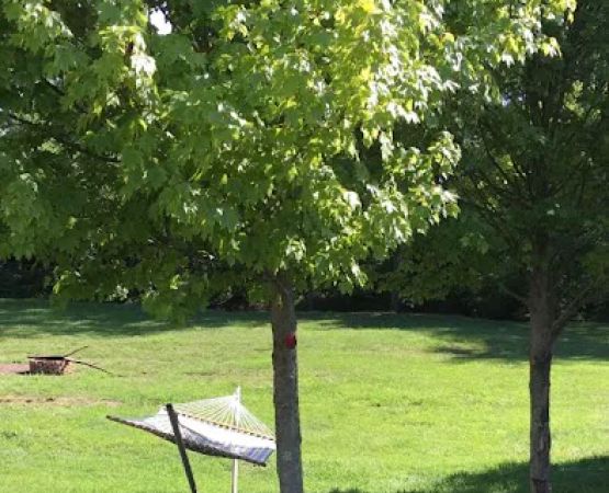 Paint creek Rv lots