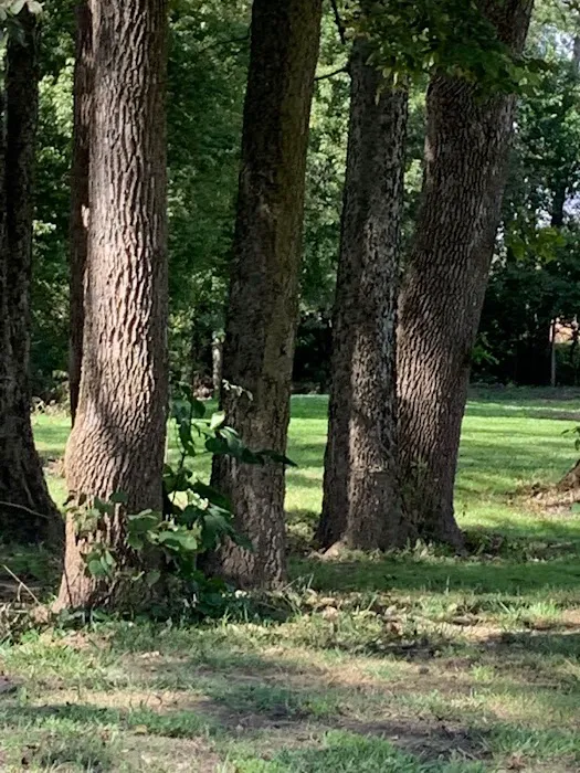 Paint creek Rv lots 3