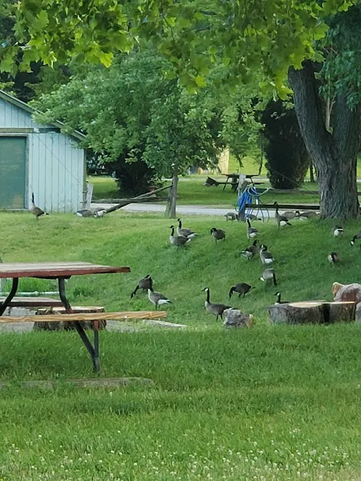 Enon Beach Recreation Park 4