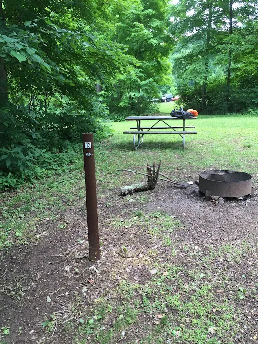 Scioto Trail State Park Walk-In Camping Area 9